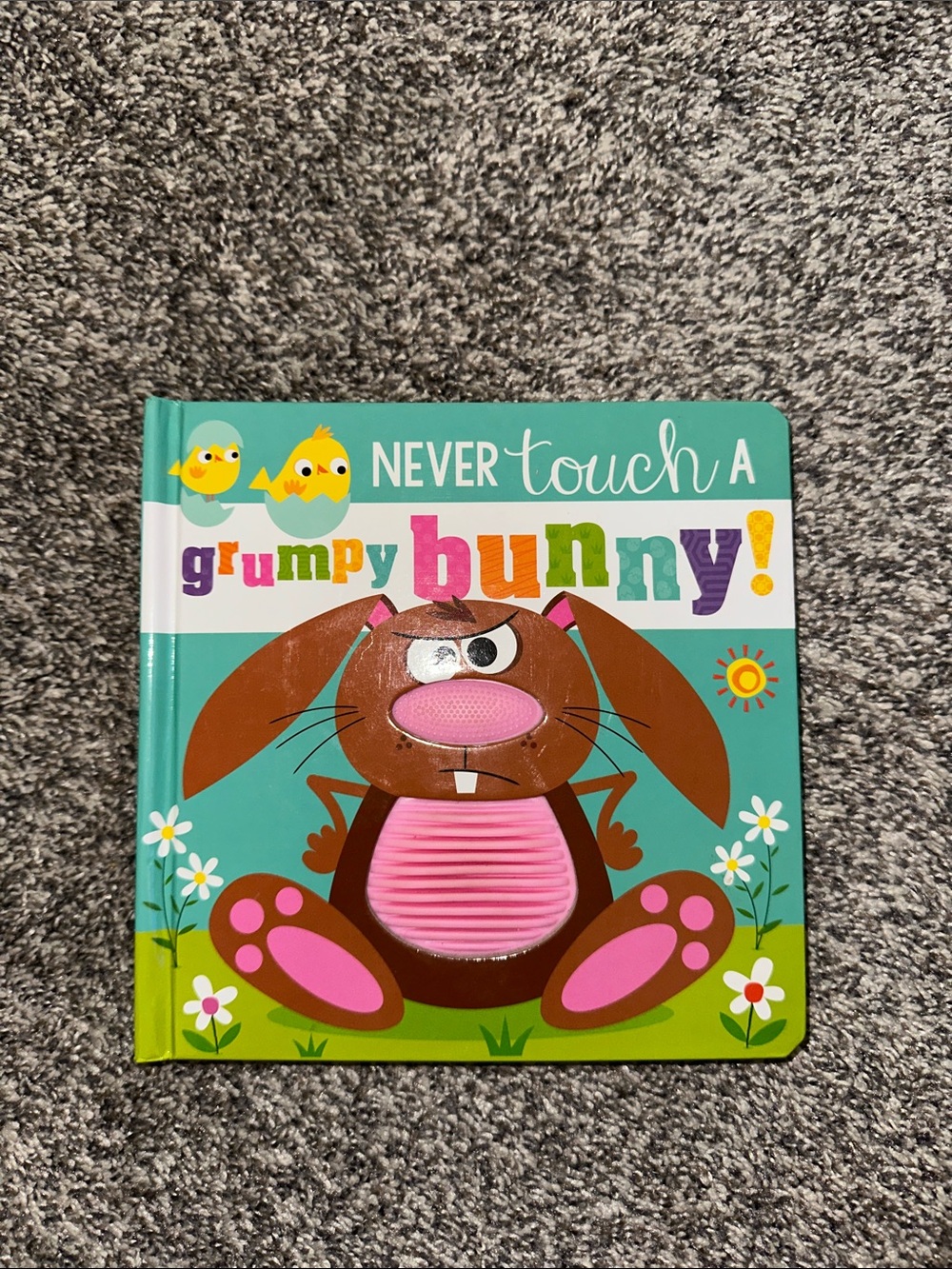 Never Touch a Grumpy Bunny! Interactive Board Book - Teal & Pink